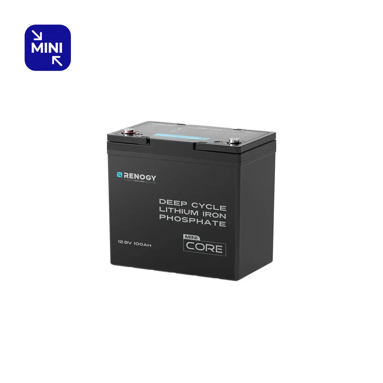 Amazon — Renogy 100Ah LiFePO4 Battery