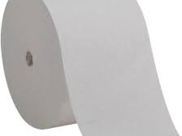 RV Toilet Paper: Do You Really Need Special Paper for Your RV?